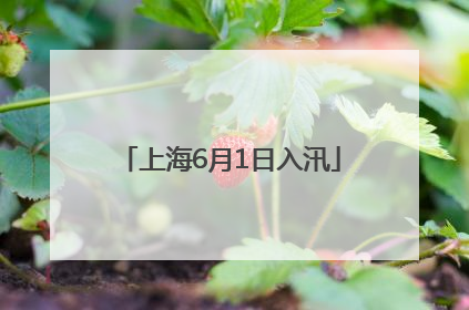 上海6月1日入汛