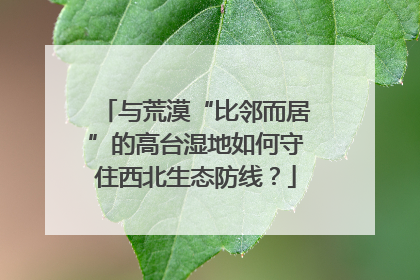 与荒漠“比邻而居”的高台湿地如何守住西北生态防线？