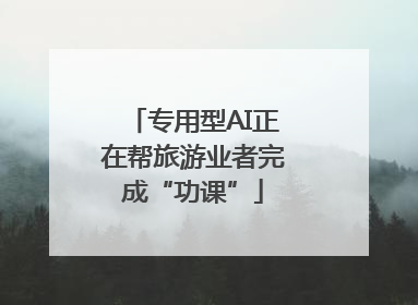专用型AI正在帮旅游业者完成“功课”