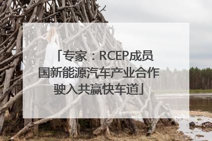 专家：RCEP成员国新能源汽车产业合作驶入共赢快车道