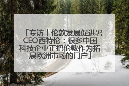 专访丨伦敦发展促进署CEO西特伦：很多中国科技企业正把伦敦作为拓展欧洲市场的门户