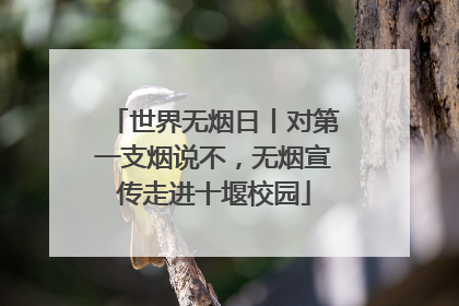 世界无烟日丨对第一支烟说不，无烟宣传走进十堰校园