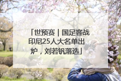 世预赛｜国足客战印尼25人大名单出炉，刘若钒落选