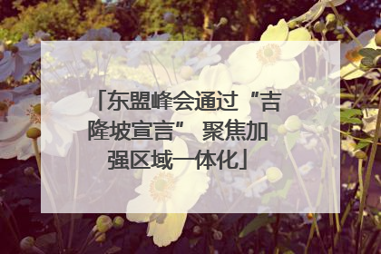 东盟峰会通过“吉隆坡宣言” 聚焦加强区域一体化