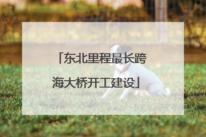 东北里程最长跨海大桥开工建设