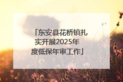 东安县花桥镇扎实开展2025年度低保年审工作