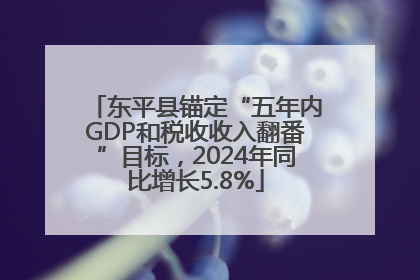 东平县锚定“五年内GDP和税收收入翻番”目标，2024年同比增长5.8%