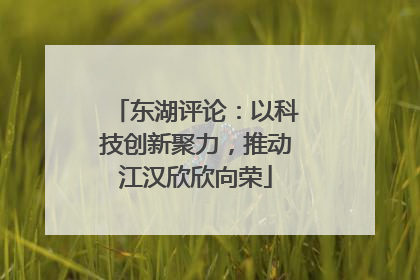 东湖评论：以科技创新聚力，推动江汉欣欣向荣
