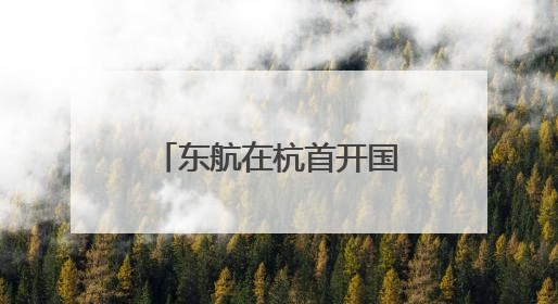 东航在杭首开国际通程航班 杭州空港口岸再添国际通程新航线