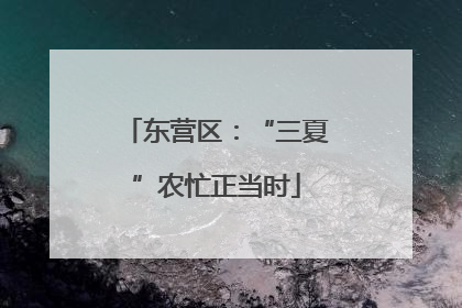 东营区：“三夏”农忙正当时