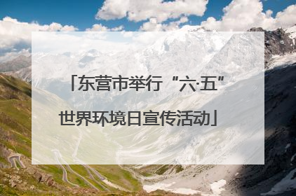 东营市举行“六·五”世界环境日宣传活动