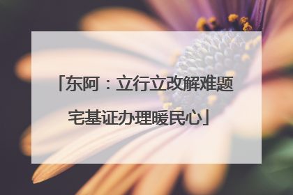 东阿：立行立改解难题 宅基证办理暖民心