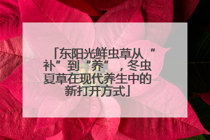 东阳光鲜虫草从“补”到“养”，冬虫夏草在现代养生中的新打开方式