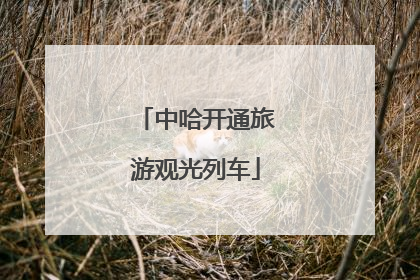 中哈开通旅游观光列车