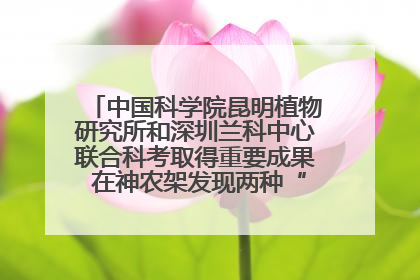 中国科学院昆明植物研究所和深圳兰科中心联合科考取得重要成果 在神农架发现两种“国保”级兰花
