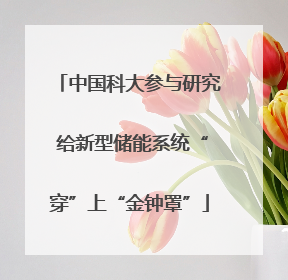 中国科大参与研究 给新型储能系统“穿”上“金钟罩”
