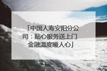 中国人寿安阳分公司：贴心服务送上门 金融温度暖人心