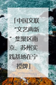 中国文联“文艺两新”集聚区南京、苏州实践基地在宁授牌