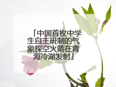 中国首枚中学生自主研制的气象探空火箭在青海冷湖发射