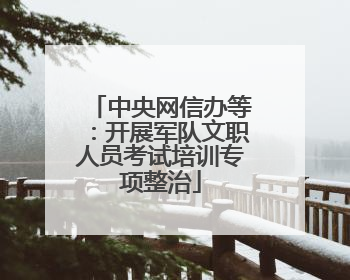 中央网信办等：开展军队文职人员考试培训专项整治