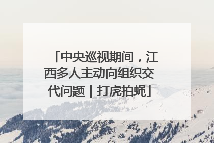 中央巡视期间，江西多人主动向组织交代问题｜打虎拍蝇