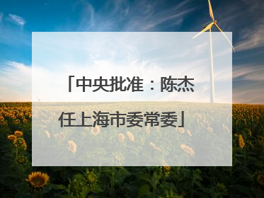 中央批准：陈杰任上海市委常委