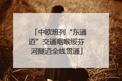 中欧班列“东通道”交通咽喉绥芬河隧道全线贯通
