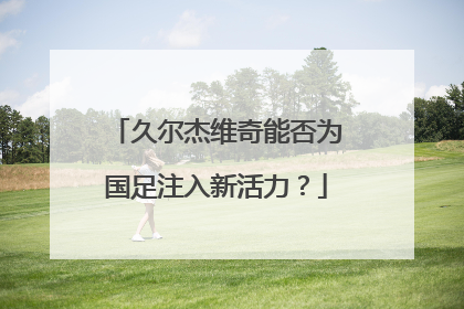 久尔杰维奇能否为国足注入新活力？