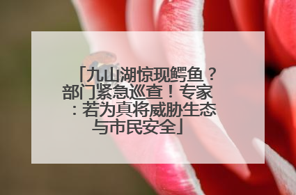 九山湖惊现鳄鱼？部门紧急巡查！专家：若为真将威胁生态与市民安全