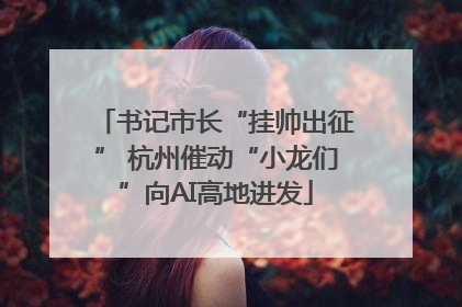 书记市长“挂帅出征” 杭州催动“小龙们”向AI高地进发