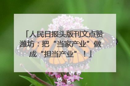 人民日报头版刊文点赞潍坊：把“当家产业”做成“担当产业”！