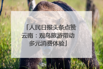 人民日报头条点赞云南：观鸟旅游带动多元消费体验