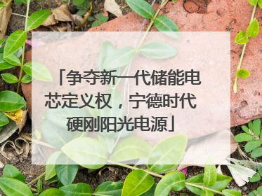 争夺新一代储能电芯定义权，宁德时代硬刚阳光电源