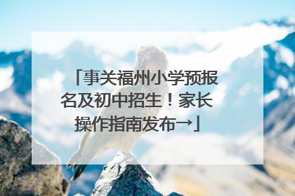 事关福州小学预报名及初中招生！家长操作指南发布→
