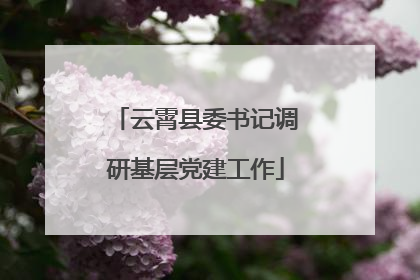 云霄县委书记调研基层党建工作