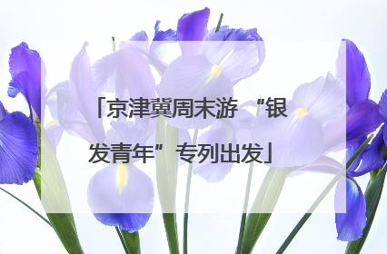 京津冀周末游 “银发青年”专列出发