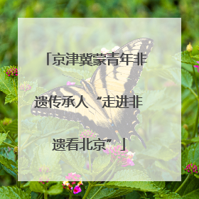 京津冀蒙青年非遗传承人“走进非遗看北京”