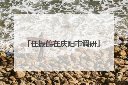 任振鹤在庆阳市调研