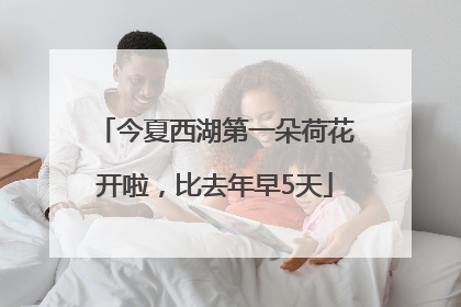 今夏西湖第一朵荷花开啦，比去年早5天