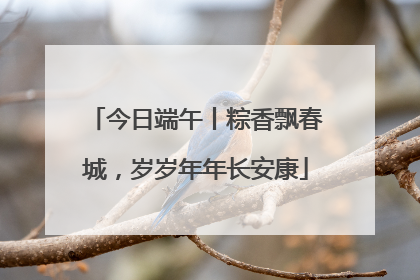 今日端午丨粽香飘春城，岁岁年年长安康