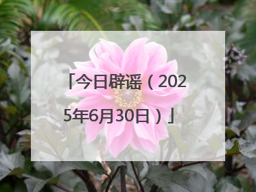 今日辟谣（2025年6月30日）
