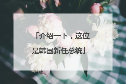 介绍一下，这位是韩国新任总统