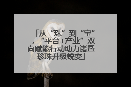 从“珠”到“宝”，“平台+产业”双向赋能行动助力诸暨珍珠升级蜕变