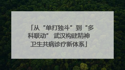 从“单打独斗”到“多科联动” 武汉构建精神卫生共病诊疗新体系