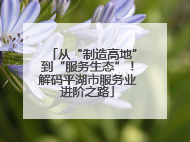 从“制造高地”到“服务生态”！解码平湖市服务业进阶之路