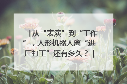 从“表演”到“工作”，人形机器人离“进厂打工”还有多久？｜机器人商业新纪元