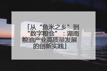 从“鱼米之乡”到“数字粮仓”：湖南粮油产业高质量发展的创新实践