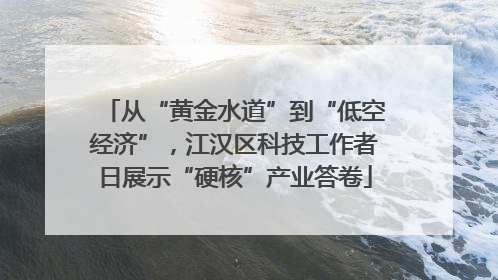 从“黄金水道”到“低空经济”，江汉区科技工作者日展示“硬核”产业答卷