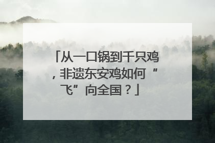 从一口锅到千只鸡，非遗东安鸡如何“飞”向全国？