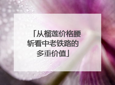 从榴莲价格腰斩看中老铁路的多重价值